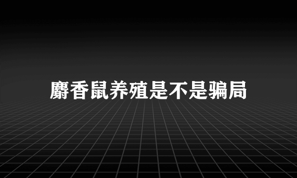 麝香鼠养殖是不是骗局