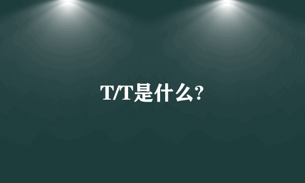 T/T是什么?