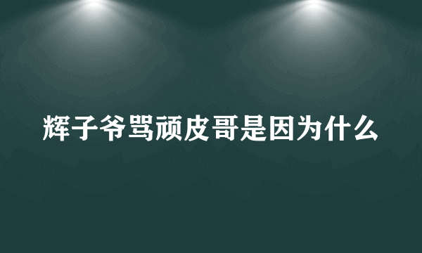 辉子爷骂顽皮哥是因为什么