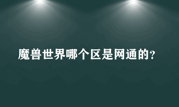 魔兽世界哪个区是网通的？