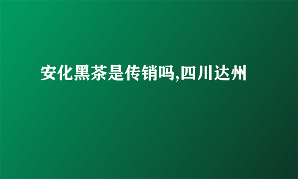 安化黑茶是传销吗,四川达州