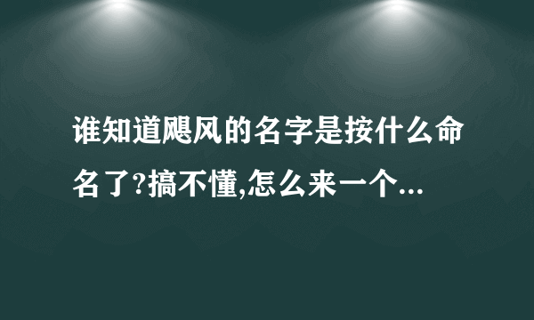 谁知道飓风的名字是按什么命名了?搞不懂,怎么来一个,一个不同名字~~