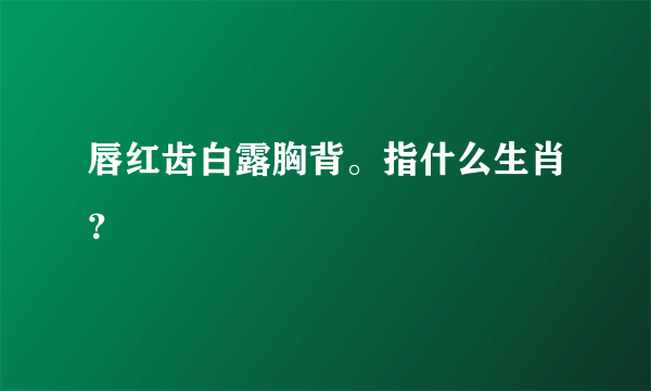 唇红齿白露胸背。指什么生肖？