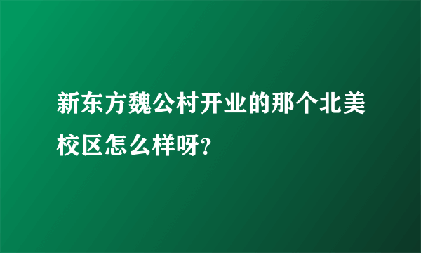 新东方魏公村开业的那个北美校区怎么样呀？