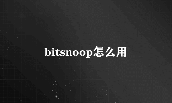 bitsnoop怎么用