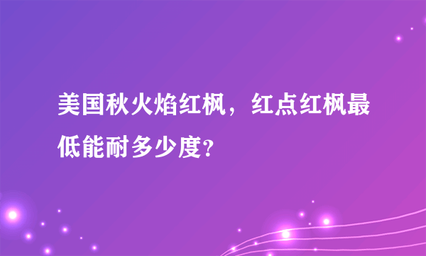 美国秋火焰红枫，红点红枫最低能耐多少度？