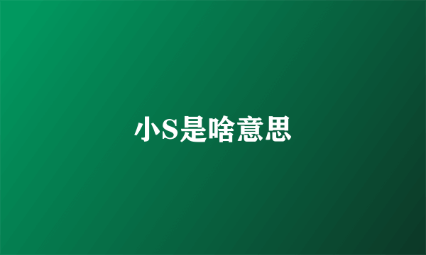 小S是啥意思