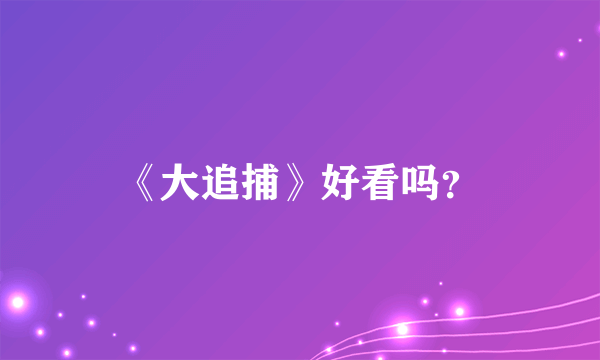 《大追捕》好看吗？