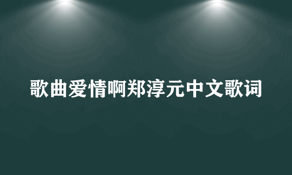 歌曲爱情啊郑淳元中文歌词