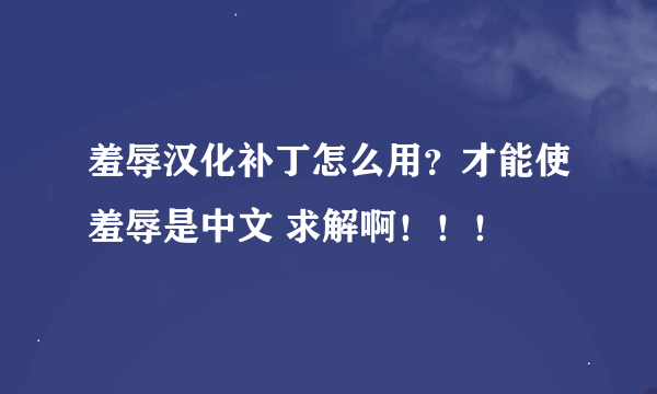 羞辱汉化补丁怎么用？才能使羞辱是中文 求解啊！！！