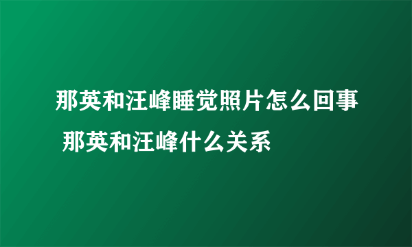 那英和汪峰睡觉照片怎么回事 那英和汪峰什么关系