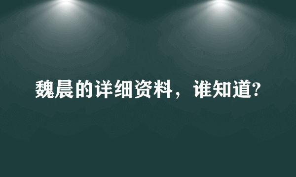 魏晨的详细资料，谁知道?