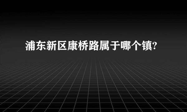 浦东新区康桥路属于哪个镇?