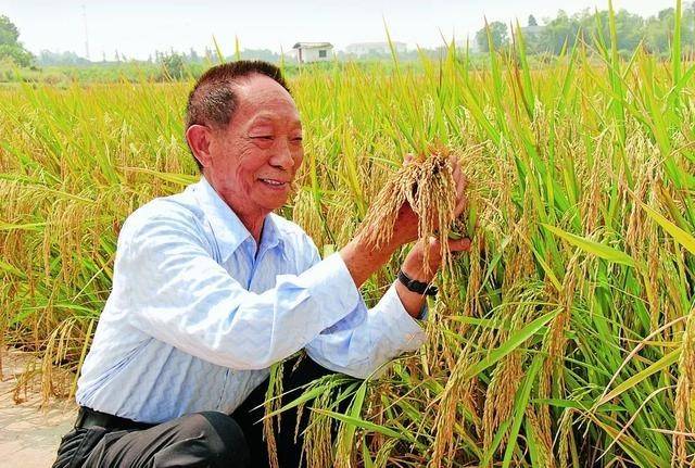 南京各大地标亮灯缅怀袁隆平院士，对此你作何评价？