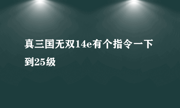 真三国无双14e有个指令一下到25级