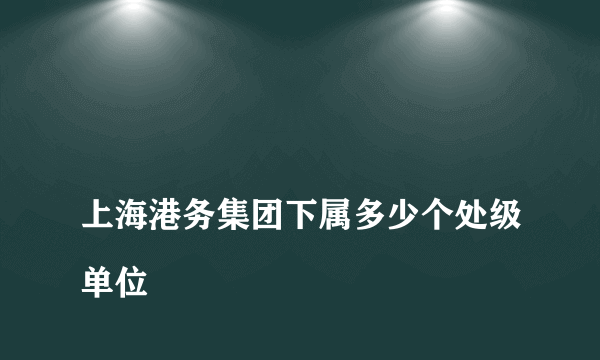 
上海港务集团下属多少个处级单位

