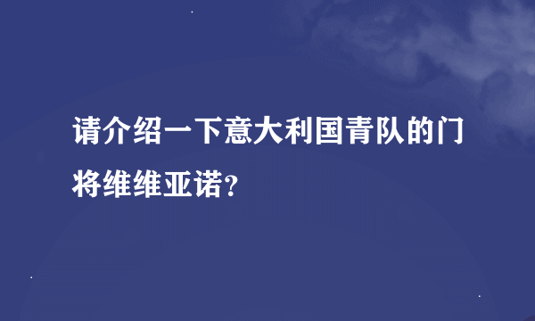 请介绍一下意大利国青队的门将维维亚诺？