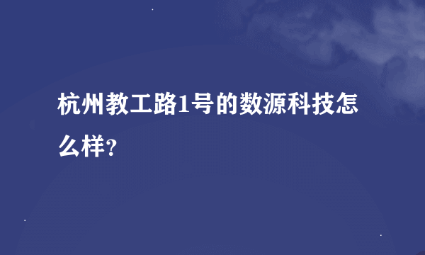 杭州教工路1号的数源科技怎么样？