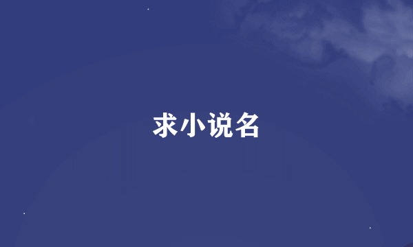 求小说名