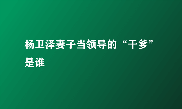 杨卫泽妻子当领导的“干爹”是谁