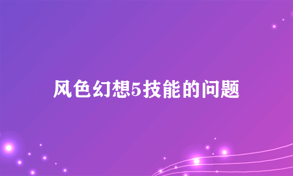 风色幻想5技能的问题