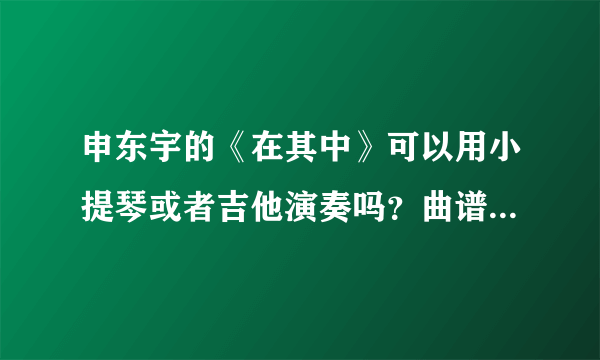 申东宇的《在其中》可以用小提琴或者吉他演奏吗？曲谱是什么？