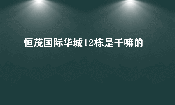 恒茂国际华城12栋是干嘛的