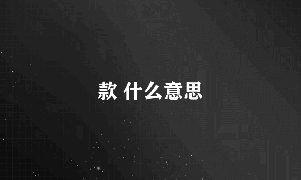 款 什么意思