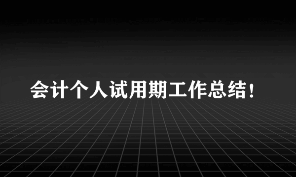 会计个人试用期工作总结！