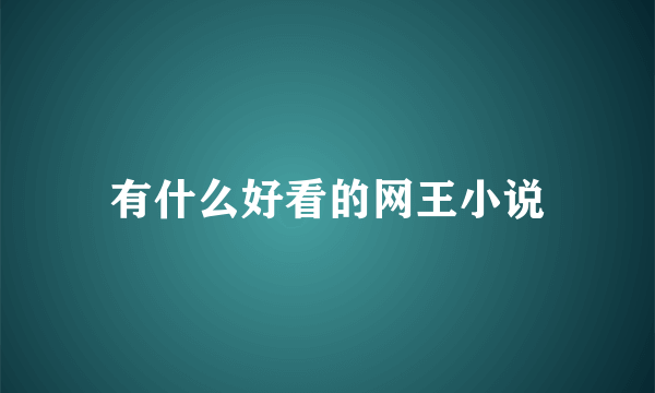 有什么好看的网王小说