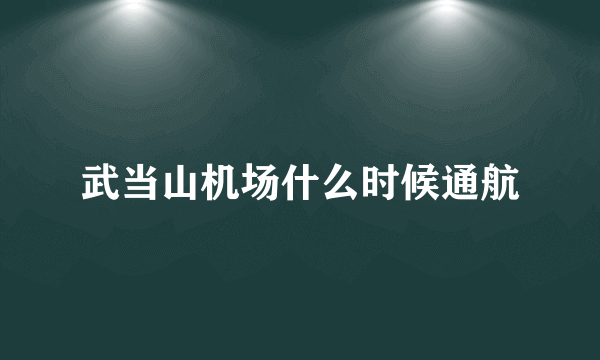 武当山机场什么时候通航