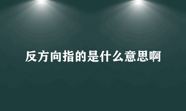 反方向指的是什么意思啊