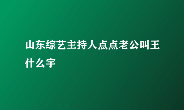 山东综艺主持人点点老公叫王什么宇