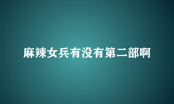 麻辣女兵有没有第二部啊