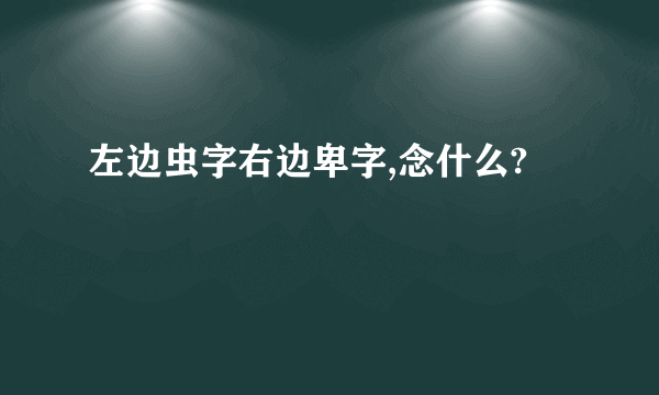 左边虫字右边卑字,念什么?