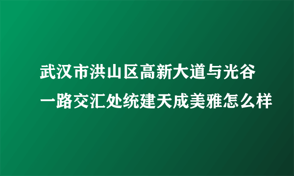 武汉市洪山区高新大道与光谷一路交汇处统建天成美雅怎么样