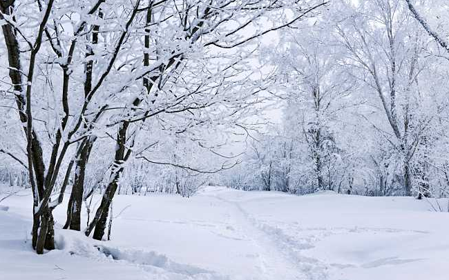 关于雪的现代诗