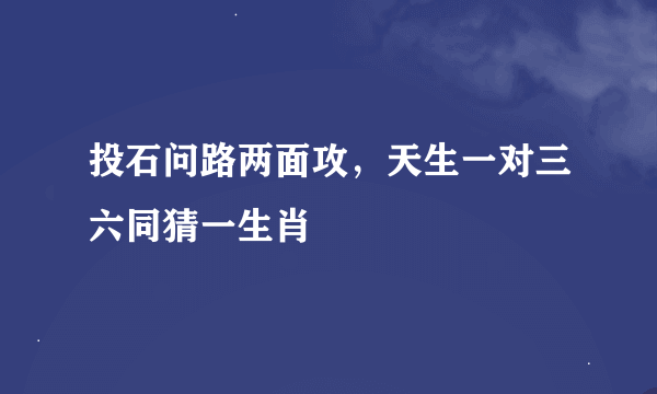 投石问路两面攻，天生一对三六同猜一生肖