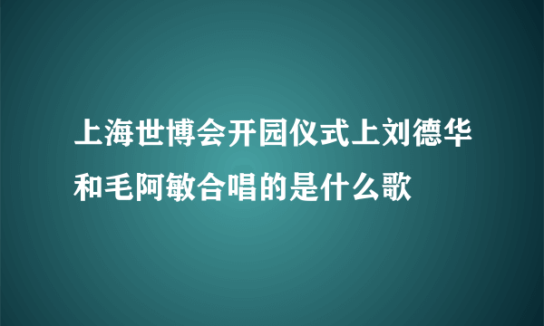 上海世博会开园仪式上刘德华和毛阿敏合唱的是什么歌