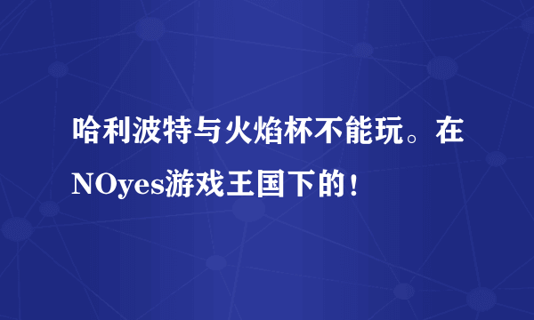 哈利波特与火焰杯不能玩。在NOyes游戏王国下的！