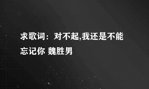 求歌词：对不起,我还是不能忘记你 魏胜男