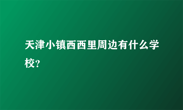 天津小镇西西里周边有什么学校？