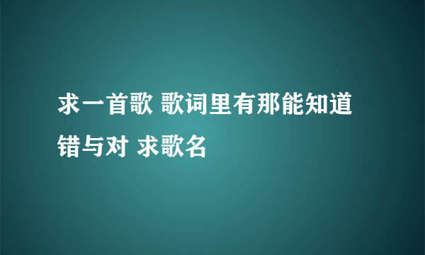 求一首歌 歌词里有那能知道错与对 求歌名