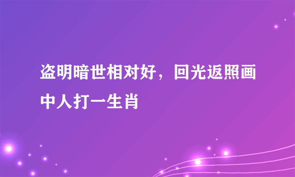 盗明暗世相对好，回光返照画中人打一生肖