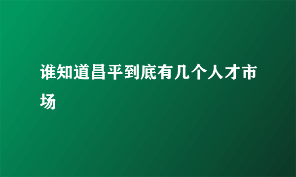 谁知道昌平到底有几个人才市场