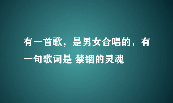 有一首歌，是男女合唱的，有一句歌词是 禁锢的灵魂