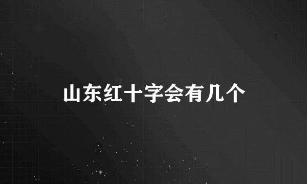 山东红十字会有几个