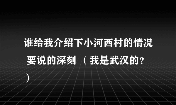 谁给我介绍下小河西村的情况 要说的深刻 （我是武汉的？）