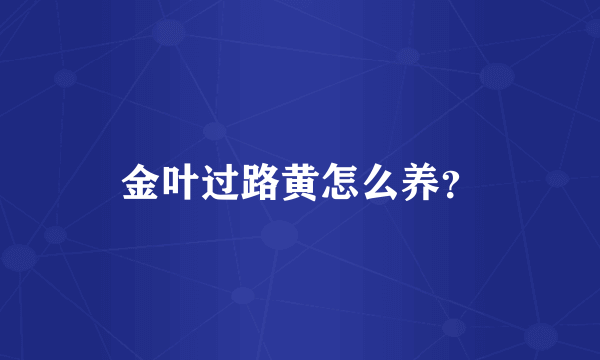 金叶过路黄怎么养？