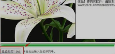 CorelDRAW X6安装代码序列号 Corelkey怎么激活